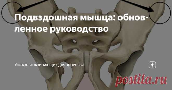 Подвздошная мышца: обновленное руководство Статья автора «Йога для начинающих для здоровья» в Дзене ✍:  Если у вас проблемы с поясничной мышцей, рассмотрите эти практики йоги, которые помогут облегчить дискомфорт:  Растяжка поясничной мышцы: