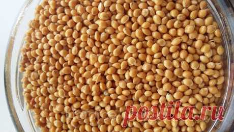 Просо - напиток из него  очищает почки, устраняет токсины, камни, помогает в лечении женских болезней и лечит цистит!