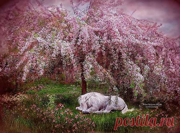 Where Unicorn's Dream Mixed Media by Carol Cavalaris - Where Unicorn's Dream Fine Art Prints and Posters for Sale