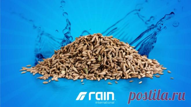 Новая категория продукта на основе семян. Является антиоксидантом от  пяти известных свободных радикалов. В 30 раз больше питательных веществ для организма, чем в самих овощах и фруктах.