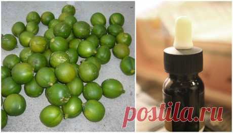 10 Reasons You Need To Try Cacay Oil - A Miracle Beauty Oil That's Saving The Rainforest