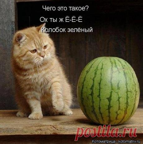 ...Колбасой не пахнет )))