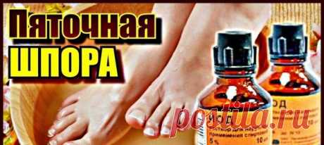 Рецепты для лечения пяточной шпоры
• На крупной терке натереть картошку, на мелкой - хрен.
Смешать пополам, намазать массу на капустный лист и приложить к больному месту.
Сверху - полиэтилен и носок.
Забинтовать и держать, сколько сможете.
Достаточно 3-7 процедур.
• Взять по 1 ч. л. меда и горчицы (я брала из тюбика, но лучше сделать свежую),
1 мл йода [10%) или 2 мл [5 %).
Все смешать - и к пятке.
Сверху -полиэтилен, так как мед тает, потом носок. Прибинтовать. Держать ко...
