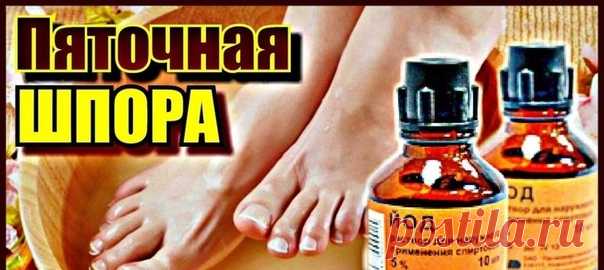 Рецепты для лечения пяточной шпоры
• На крупной терке натереть картошку, на мелкой - хрен.
Смешать пополам, намазать массу на капустный лист и приложить к больному месту.
Сверху - полиэтилен и носок.
Забинтовать и держать, сколько сможете.
Достаточно 3-7 процедур.
• Взять по 1 ч. л. меда и горчицы (я брала из тюбика, но лучше сделать свежую),
1 мл йода [10%) или 2 мл [5 %).
Все смешать - и к пятке.
Сверху -полиэтилен, так как мед тает, потом носок. Прибинтовать. Держать ко...