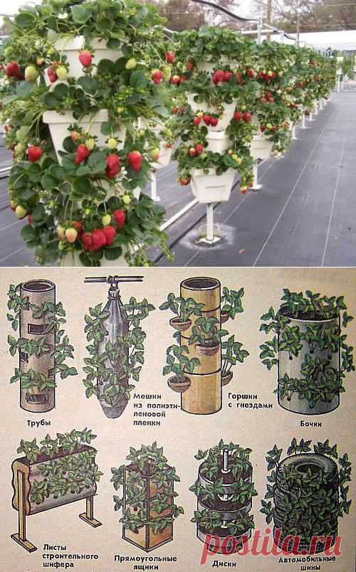 Вертикальные грядки для клубники | Дача своими руками