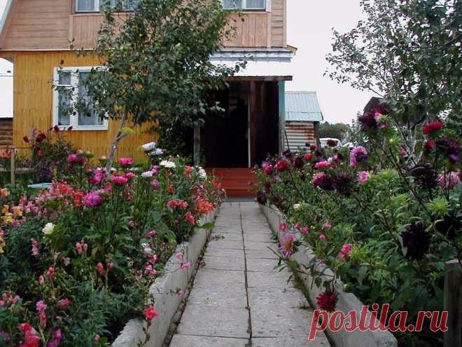 Планирование работ на даче Планирование на даче - составление плана расположения растений, внешнего вида сада в целом и дел, которые необходимо сделать в сезон. Ориентироваться на календарь следует аккуратно, правильнее следить за погодой. Какие вопросы нужно себе задать, чтобы получить красивый и плодородный участок летом.