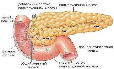 Одноклассники