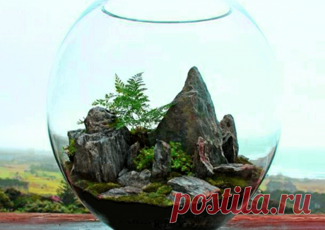 Флорариумы: виды, описание, идеи оформления ~ Planetalsad