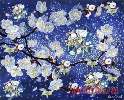 San Chad * Черных А.Д.