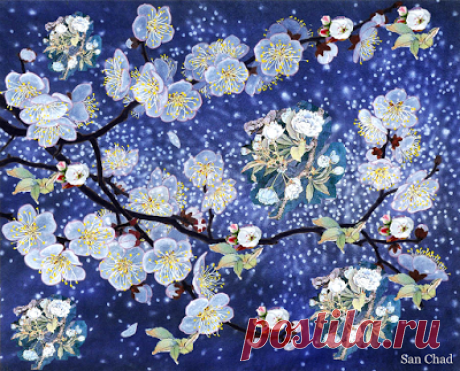 San Chad * Черных А.Д.