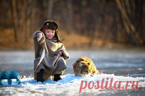 Милые пушистые создания в объективе: тенреки, кускусы, опоссумы и прочие пугораки | ЖИВОЙ УГОЛОК