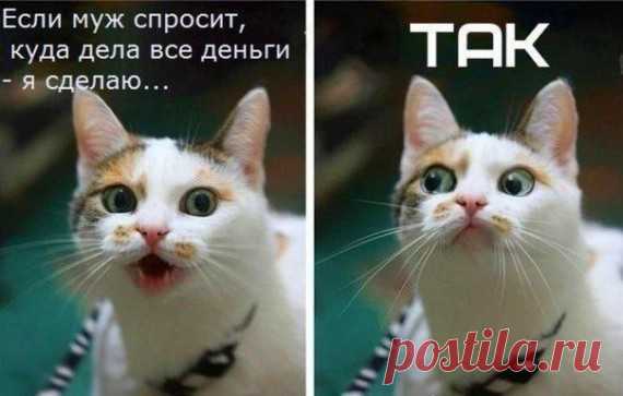 Давайте улыбаться вместе! :)
