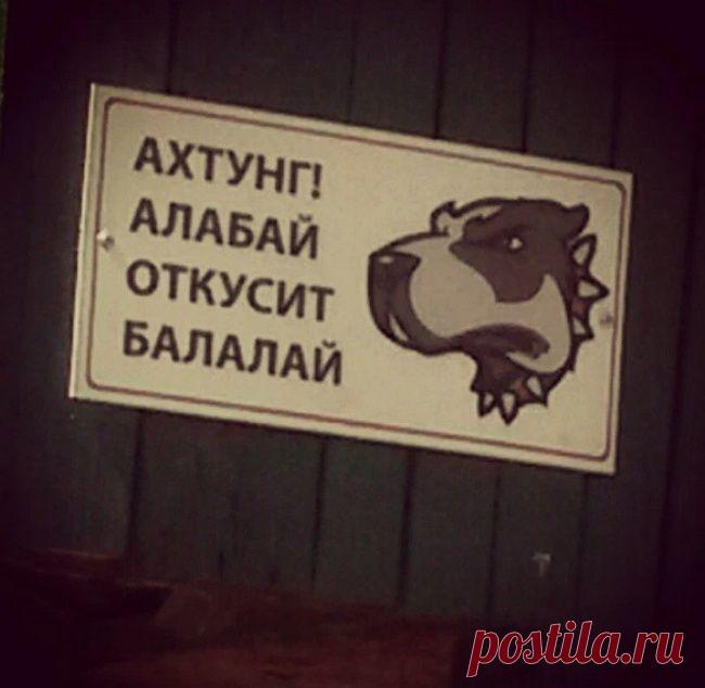 10 табличек от хозяев с прекрасным чувством юмора - 24 Июля 2015 - Журнал МиллиардерЪ | Блоги