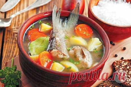 Самый полный рецепт двойной ухи
Ну какая, скажите, рыбалка, без приготовленной на костре, наваристой и аппетитной ушицы, сваренной из свеже-пойманной рыбы, со светлыми пятнышками жира и легким ароматом дымка? Приготовленная из тех …