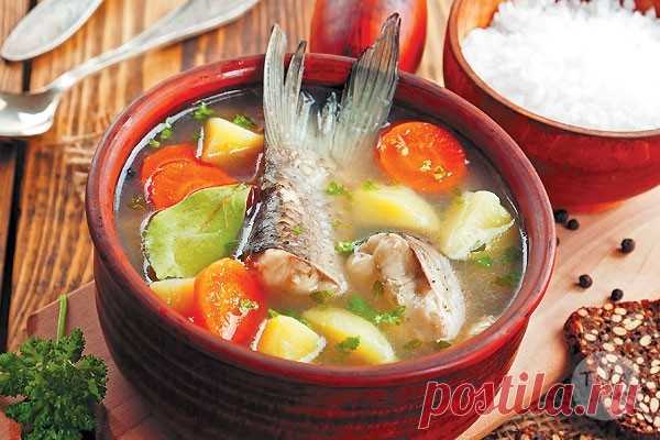 Самый полный рецепт двойной ухи 
Ну какая, скажите, рыбалка, без приготовленной на костре, наваристой и аппетитной ушицы, сваренной из свеже-пойманной рыбы, со светлыми пятнышками жира и легким ароматом дымка? Приготовленная из тех …