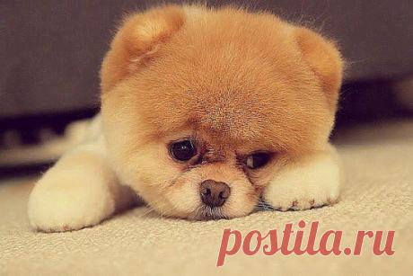 Эх... никто не ставит Класс, значит я некрасивый!