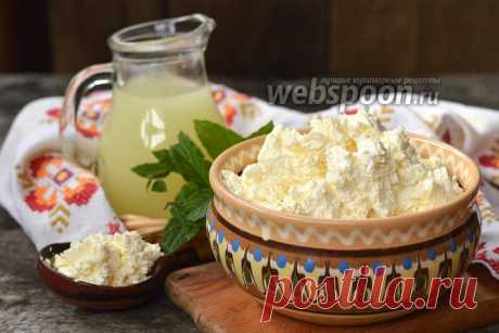 Домашний творог из кислого молока рецепт с фото, как приготовить на Webspoon.ru