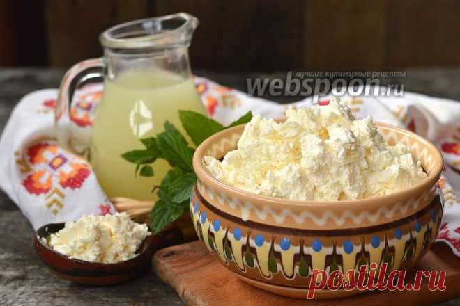 Домашний творог из кислого молока рецепт с фото, как приготовить на Webspoon.ru