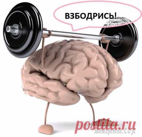 Зарядка для ума