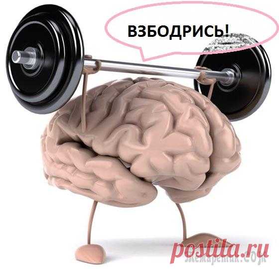Зарядка для ума