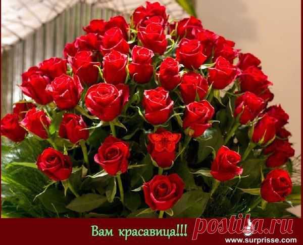"ДЛЯ ВАС ДУШИ МОЕЙ ЦАРИЦЫ,  ДЛЯ ВАС КРАСАВИЦЫ ОДНИХ!"     от А. С. Пушкина