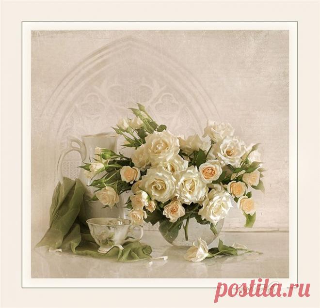 Адажио. Страничка автора и альбомы с работами : http://www.lifeisphoto.ru/page.aspx?id=1993