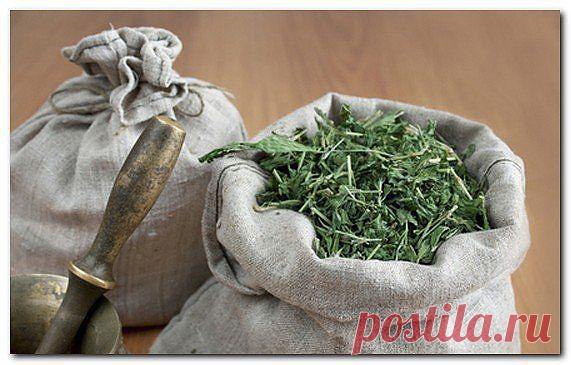 Екатерина Овтина