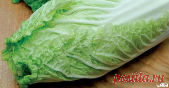 ТОП-6 Салатов с Пекинской Капустой 



1. Салат «Быстро и вкусно»!
Ингредиенты:
— капуста— свежий огурец— лучок— колбаска (кому какая нравится)— майонез— специи
Приготовление:
1. Капусту шинкуем (у нас пекинская, с ней вкуснее)2. Огуре…