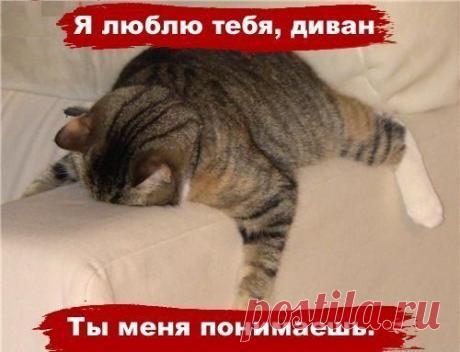 )))))
заходи на мой сайт