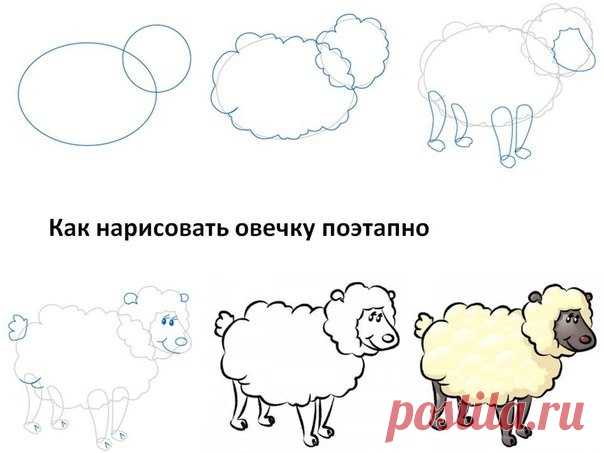 Как нарисовать овечку - Поделки с детьми | Деткиподелки