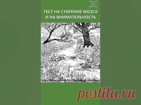 Найдите: ДЕВУШКУ,ЗАЙЦА,УЛИТКУ,ЧЕРЕПАХУ,ЕНОТА,ТЕЛЕНКА,УТКУ,ЖУКА,ПТИЦУ,РЫБУ