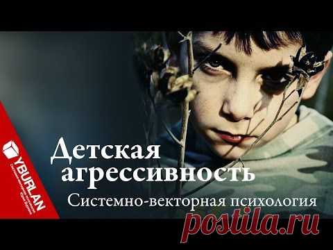 Видео: Детская агрессивность. Коллективное воспитание против частного. Системно-векторная психология - отрывок лекции
