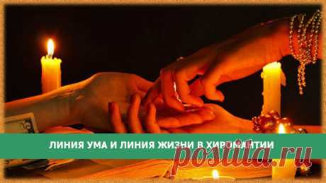 Линия ума и линия жизни в хиромантии