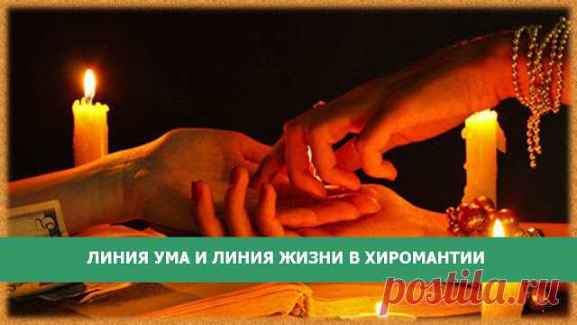 Линия ума и линия жизни в хиромантии
