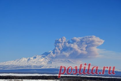 Пропавшего на Камчатке главу тверской пивоварни нашли живым