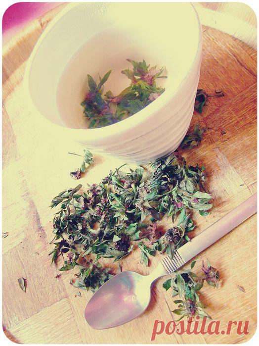 Не выбрасывайте клубничные хвостики:)