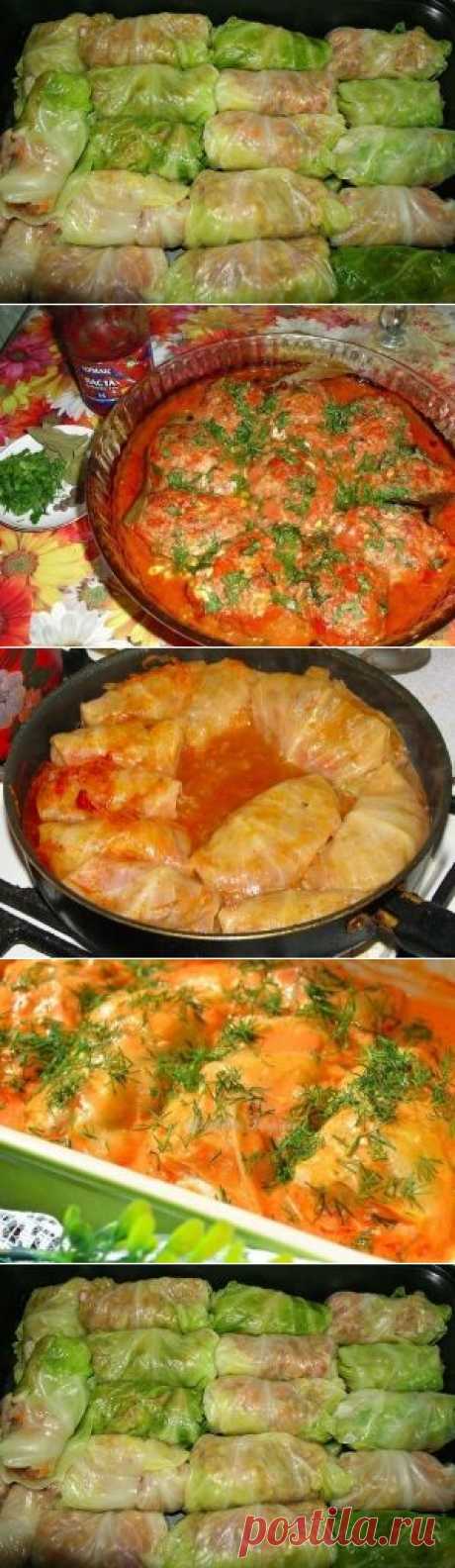 Голубцы из духовки &amp;raquo; Кулинарные рецепты