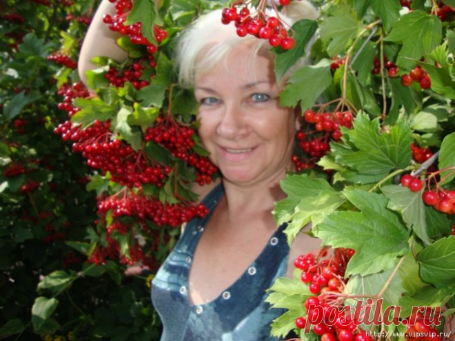 Природные антибиотики!