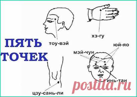 точки для массажа от головной боли – Google Поиск