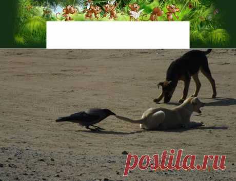Одноклассники