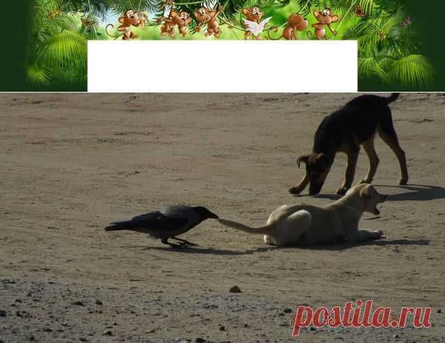 Одноклассники