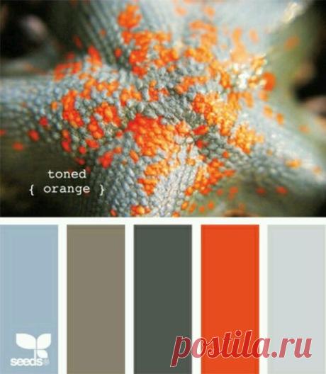 Colour scheme for living room