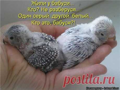 ☑ Зацепило? Добавляйся !☚(ړײ)✌
Светлана Дроздова