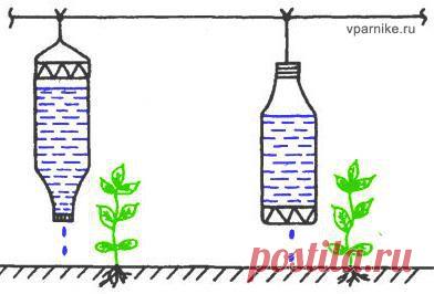 Простые системы капельного полива растений из пластиковых бутылок и не только | vparnike.ru