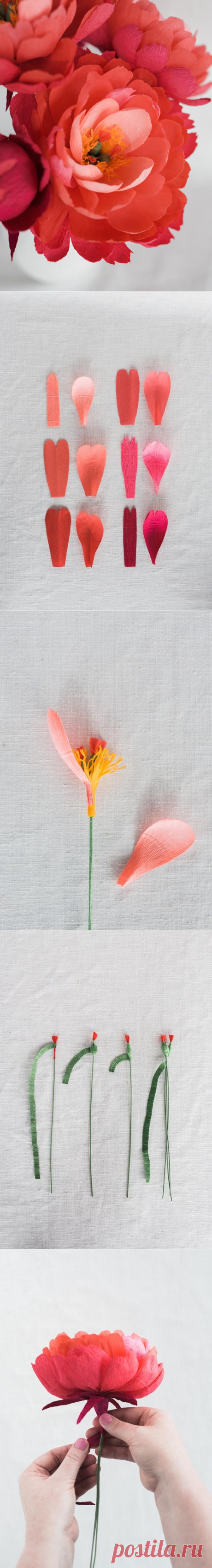 DIY Paper Coral Charm Peony | Design*Sponge