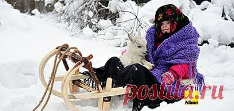 Яндекс.Фотки