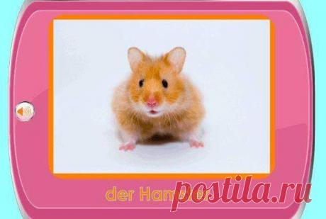 Wortschatz 🔹 / Изучение немецкого языка