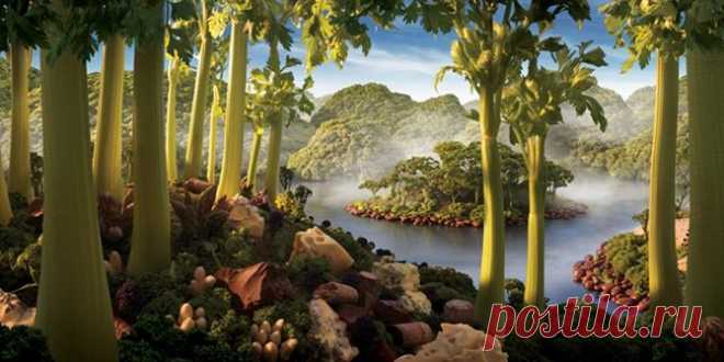 Созданы из еды… Впечатляющие снимки Карла Уорнера (Carl Warner) — Фотоискусство