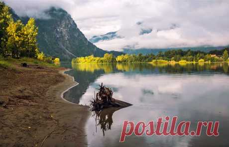 Тихо-тихо капал дождь... | Фотосайт СуперСнимки.Ру