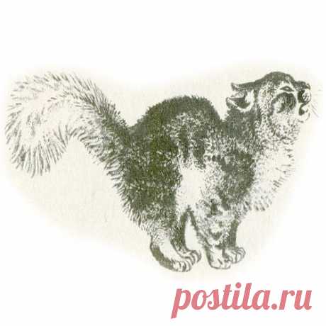 КРАСНАЯ ГОРКА